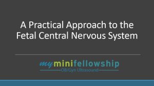 A Practical Approach to the Fetal Central Nervous System