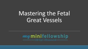 Mastering The Fetal Great Vessels