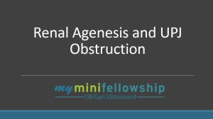 TF – Renal Agenesis and UPJ Obstruction